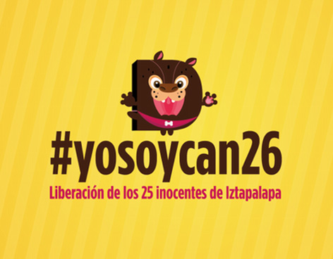 yosoycan26-080113