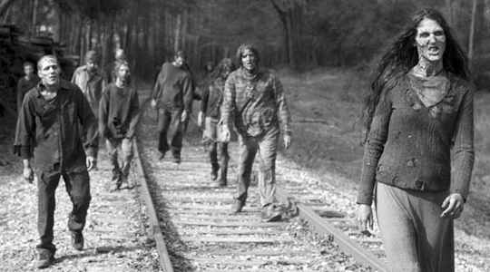 the walking dead