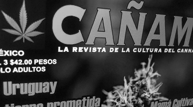 revista cañamo