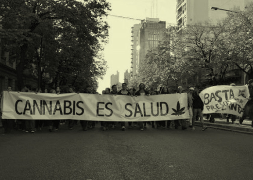 cannabis es salud color