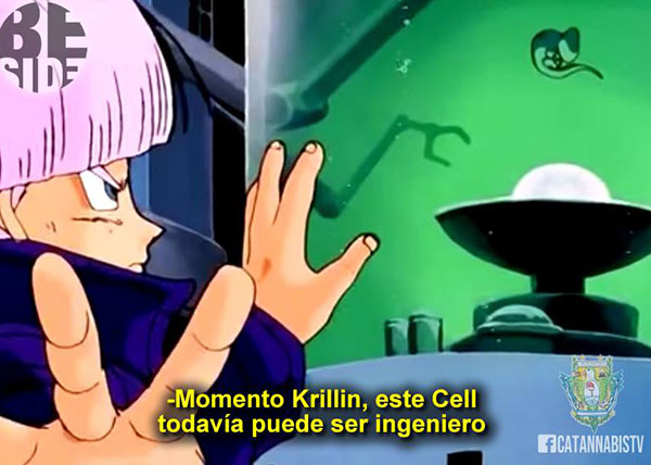 ingeniero-cell