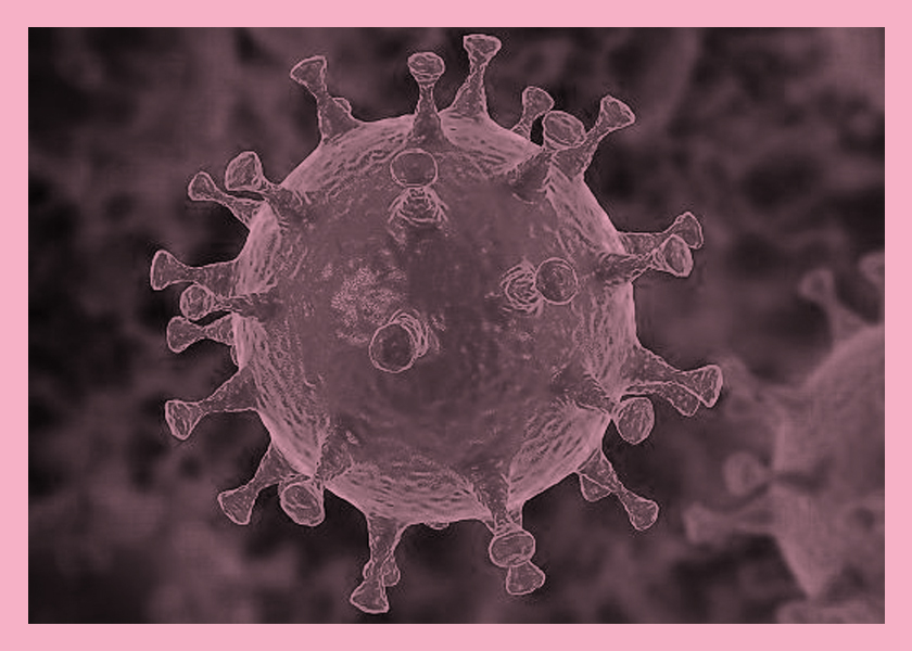 Coronavirus, cuarentena y pensar en cuadritos