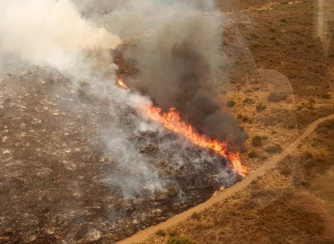 Foto: Gobierno de Córdoba