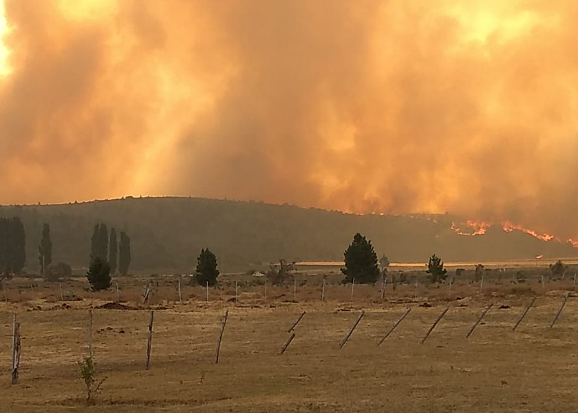 Arde la Patagonia: en 2021 el ecocidio no se detiene