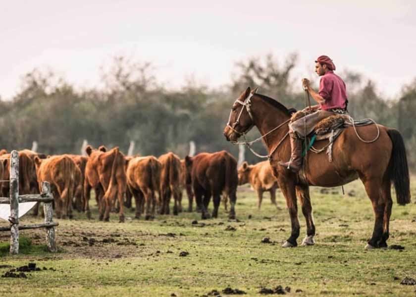 Trata en el campo: le pagaban 1.000 por semana y le descontaban el gas