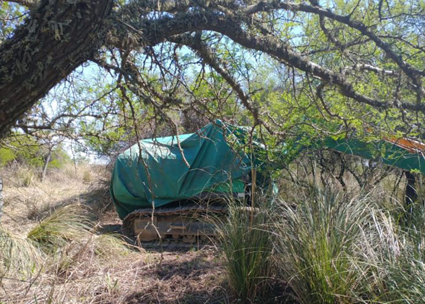 La justicia frenó obra sobre un humedal del Paraná