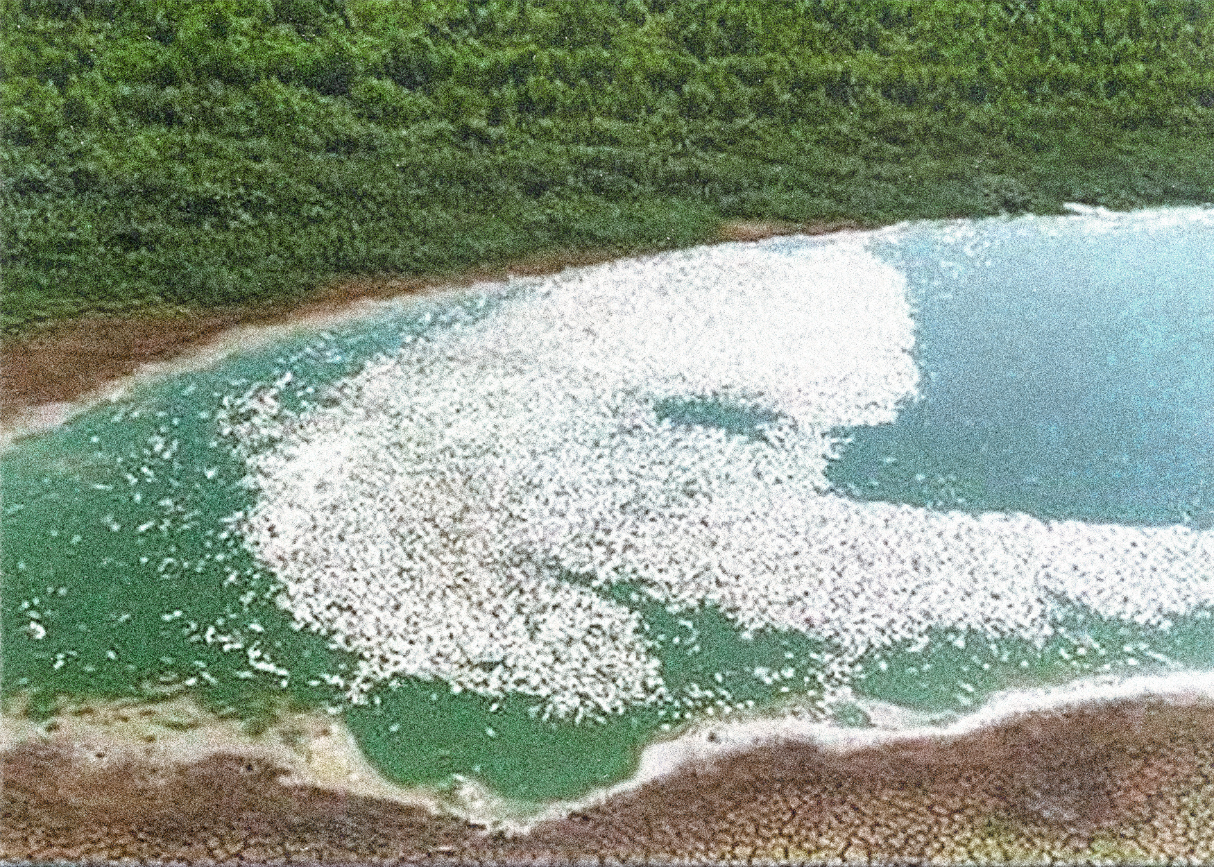 En el Río Paraná ya no se puede respirar